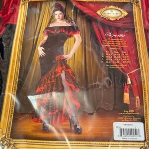 In character, Señorita, ladies adult size large costume dress only